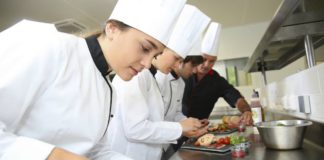 SE REQUIERE CHEF PROACTIVO Y DINÁMICO PARA TRABAJAR