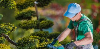 SE SOLICITAN JARDINEROS PARA TRABAJAR EN VIVEROS (NURSERIES)