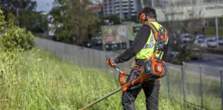 SOLICITAMOS JARDINERO PARA EL MANTENIMIENTO DE ZONAS VERDES
