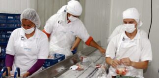 SE BUSCA OPERARIO DE PRODUCCIÓN TEMPORAL, TIEMPO COMPLETO