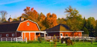 SE REQUIERE PEÓN/A DE GRANJA PARA CUIDADO DE ANIMALES Y MANTENIMIENTO DE INSTALACIONES