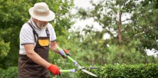 SE SOLICITA JARDINERO/A PARA CUIDADO DE PLANTAS (TIEMPO COMPLETO)