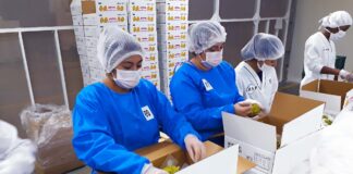 SE SOLICITA EMPACADOR DE ALIMENTOS PARA INSPECCIÓN Y EMBALAJE DE PRODUCTOS