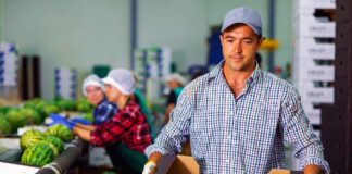 SE SOLICITA EMPACADOR DE FRUTA PARA CONTROL DE CALIDAD DE PRODUCTOS EN CAJA