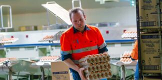 SE REQUIERE EMPACADOR DE HUEVOS HOMBRE Y/O MUJER PARA CONTROL DE CALIDAD DE PRODUCTOS