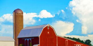 SE REQUIERE PEÓN AGRÍCOLA PARA MANTENIMIENTO DE GRANJA, DISPONIBILIDAD INMEDIATA