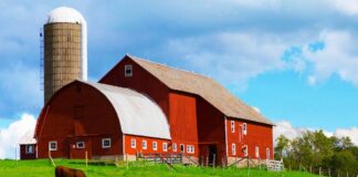 SE SOLICITA TRABAJADOR DE GRANJA PARA CARGA Y TRANSPORTE DE PRODUCTOS (MÍNIMA EXPERIENCIA)
