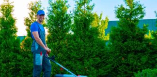 SE SOLICITA AYUDANTE DE JARDINERÍA PARA RIEGO Y MANTENIMIENTO GENERAL DE ÁREAS VERDES