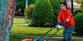 SE SOLICITA JARDINERO PARA PODADO Y RIEGO DE ÁREAS VERDES, NO SE REQUIERE EXPERIENCIA