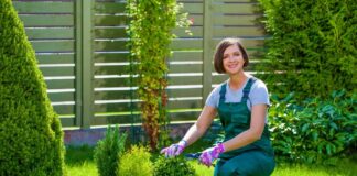 SE SOLICITA JARDINERO HOMBRE Y/O MUJER PARA MANTENIMIENTO DE ÁREAS VERDES Y DECORACIÓN DE JARDINES