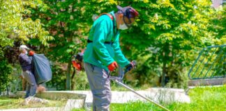 SE SOLICITA JARDINERO RESPONSABLE PARA CUIDADO Y MANTENIMIENTO DE ÁREAS VERDES, PAGO POR HORA