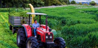 SE REQUIERE OPERADOR DE EQUIPOS AGRÍCOLAS PARA COSECHA Y CARGA DE PRODUCTOS, DISPONIBILIDAD INMEDIATA