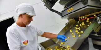 SE REQUIERE OPERARIO DE PRODUCCIÓN PARA CONTROL DE CALIDAD Y ENVASADO DE FRITURAS