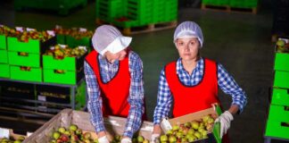 SE SOLICITA OPERARIOS DE PRODUCCIÓN PARA EMPAQUE DE PRODUCTOS (CON O SIN EXPERIENCIA)