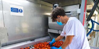 SE REQUIERE TRABAJADOR DE PRODUCCIÓN PARA SELLADO DE PRODUCTOS EN FÁBRICA, TURNO DIURNO