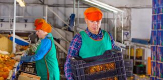 SE REQUIERE EMPACADOR/A PARA CONTROL DE CALIDAD Y SELLADO DE PRODUCTOS