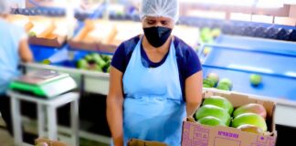 SE REQUIERE AUXILIAR DE PRODUCCIÓN PARA CONTROL DE CALIDAD DE FRUTAS Y VEGETALES