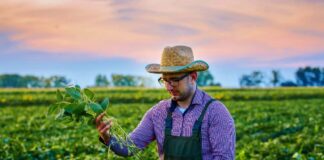 SE REQUIERE TRABAJADOR AGRÍCOLA PARA RIEGO Y MANTENIMIENTO DE PRODUCTOS GENERALES