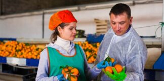 SE SOLICITA ENVASADOR DE FRUTAS Y VERDURAS PARA FÁBRICA (HOMBRE Y/O MUJER)