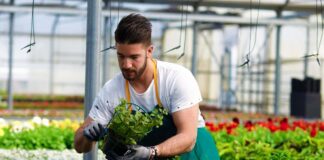 SE REQUIERE PERSONAL DE VIVERO PARA TRABAJAR EN INVERNADERO, NO SE REQUIERE EXPERIENCIA