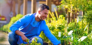 SE REQUIERE TRABAJADOR DE VIVERO PARA RIEGO GENERAL DE PLANTAS (MÍNIMA EXPERIENCIA)