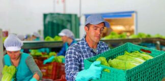 SE REQUIERE EMPACADOR PARA TRABAJAR 4 DÍAS A LA SEMANA, TURNO DIURNO