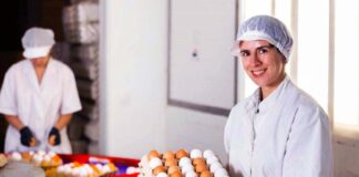 SE SOLICITA EMPACADOR DE HUEVOS PARA JORNADA ROTATIVA (HOMBRE Y/O MUJER)