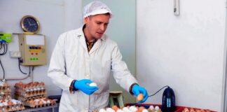 SE REQUIERE EMPACADOR DE HUEVOS CON DISPONIBILIDAD LOS FINES DE SEMANA