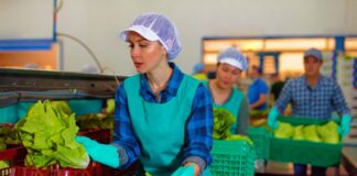 SE REQUIERE PERSONAL PARA ENVASADO Y EMPAQUETADO DE VERDURAS (TURNO DIURNO)