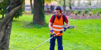SE SOLICITA JARDINERO PARA PODA Y RIEGO DE ARBUSTOS, LUNES A VIERNES