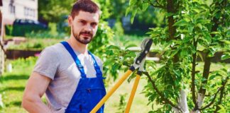 SE SOLICITA JARDINERO PARA CUIDADO Y MANTENIMIENTO DE PLANTAS, DISPONIBILIDAD INMEDIATA