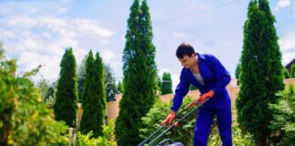 SE SOLICITA JARDINERO/A 2 DÍAS A LA SEMANA PARA MANTENIMIENTO DE ÁREAS VERDES