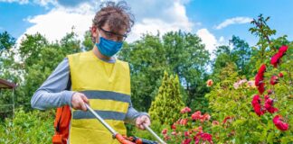SE SOLICITA JARDINERO PARA RIEGO Y PODA DE ÁREAS VERDES