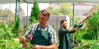 SE REQUIERE JARDINERO PARA PODA, RIEGO Y CUIDADO DE ÁREAS VERDES