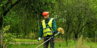 SE REQUIERE JARDINERO DE TIEMPO COMPLETO PARA PODADO Y RIEGO DE ÁREAS VERDES (TIEMPO COMPLETO)