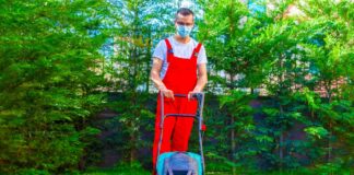 SE SOLICITA JARDINERO/A PARA MANTENIMIENTO DE ÁREAS VERDES (CON O SIN EXPERIENCIA)