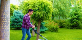 SE REQUIERE JARDINERO RESPONSABLE PARA MANTENIMIENTO GENERAL DE ÁREAS VERDES, TIEMPO COMPLETO Y MEDIO TIEMPO