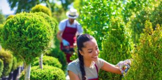 SE REQUIERE JARDINEROS PARA MANTENIMIENTO DE ÁREAS (HOMBRES Y/O MUJERES)
