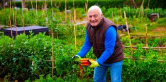 SE REQUIERE PEÓN AGRÍCOLA PARA RECOLECCIÓN Y CONTROL DE CALIDAD DE PRODUCTOS