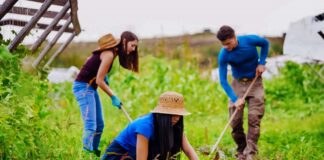 SE SOLICITA PEONES DE CAMPO PARA RECOLECCIÓN DE PRODUCTOS Y MANTENIMIENTO GENERAL DE ÁREAS