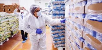 SE REQUIERE AUXILIAR DE BODEGA PARA CONTROL DE PRODUCTOS EN ALMACÉN DE MAÍZ (HOMBRE Y/O MUJER)