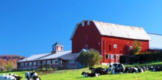 SE SOLICITA PERSONAL DE GRANJA PARA CUIDADO DE ANIMALES Y MANTENIMIENTO GENERAL DE ESTABLECIMIENTO