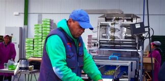 SE REQUIERE PERSONAL DE PRODUCCIÓN CON O SIN EXPERIENCIA PARA FÁBRICA DE ACEITUNAS