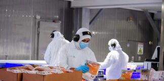 SE SOLICITA PERSONAL DE PRODUCCIÓN PARA ENVASADO DE PRODUCTOS EN FÁBRICA, NO SE REQUIERE EXPERIENCIA