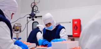 SE REQUIERE OPERARIO DE PRODUCCIÓN PARA ENVASADO DE PRODUCTOS EN FÁBRICA
