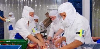 SE SOLICITA PERSONAL DE PRODUCCIÓN CON O SIN EXPERIENCIA PARA CONTROL DE CALIDAD DE PRODUCTOS (HOMBRE Y/O MUJER)