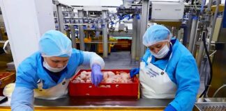 SE SOLICITA OPERARIO/A DE PRODUCCIÓN PARA CONTROL DE PRODUCTOS EN FÁBRICA, TIEMPO COMPLETO