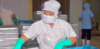 SE SOLICITA OPERARIOS DE PRODUCCIÓN DE ALIMENTOS PARA CONTROL DE CALIDAD DE PRODUCTOS