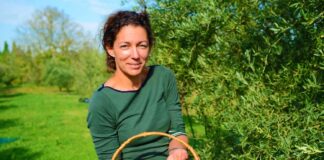 SE REQUIERE TRABAJADORES AGRÍCOLAS PARA COSECHA DE OLIVO (HOMBRES Y/O MUJERES)