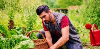 SE REQUIERE TRABAJADOR AGRÍCOLA PARA RIEGO Y RECOLECCIÓN DE PRODUCTOS EN COSECHA